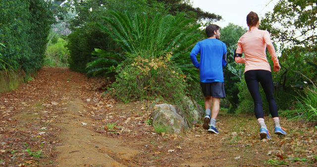 Couple Jogging on Forest Trail Surrounded by Greenery - Download Free Stock Images Pikwizard.com