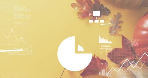 Autumn data dashboard flatlay featuring white pie chart, line graphs and seasonal leaves