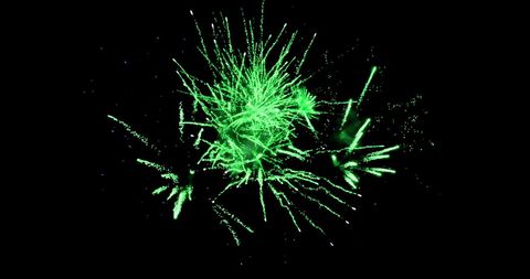 Vibrant green fireworks against night sky