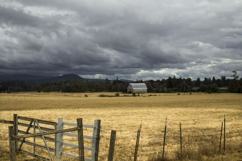 Rustic Farmland with Barn Under Overcast Sky