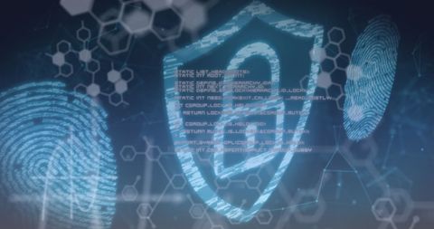 Secure Digital Interface Featuring Biometrics and Data Encryption - Download Free Stock Images Pikwizard.com