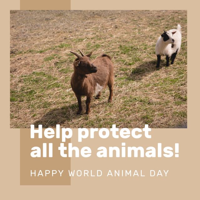 Composition of help protect all the animals happy world animal day text over goats. World animal day and celebration concept digitally generated image.