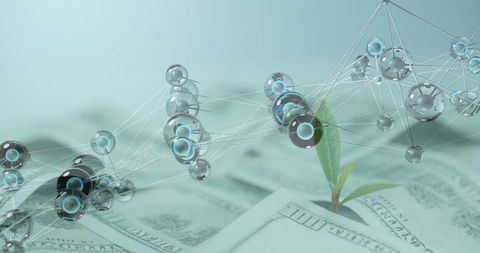 Sprouting seedling growing through us dollar bills with futuristic glass-node network overlay