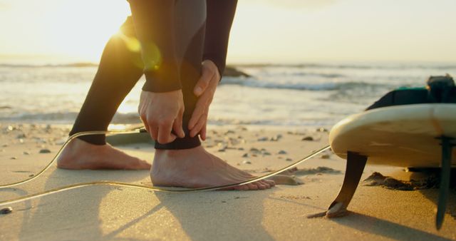 Surfer Preparing for Adventure at Beach Sunset - Download Free Stock Images Pikwizard.com