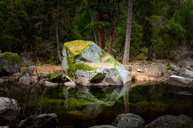 Stream gently making its way through forest. Moss-covered rocks add vibrancy to reflective water, capturing calm and peaceful vibe. Scene perfect for travel blogs, nature websites, backgrounds for presentations related to outdoor activities, and serene landscape artworks.