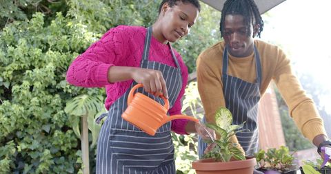 Young Couple Enjoying Gardening Together on a Sunny Day - Download Free Stock Images Pikwizard.com