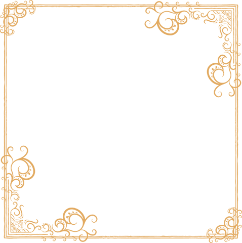 elegant filigree corner frame on transparent background - Download Free Stock Videos Pikwizard.com