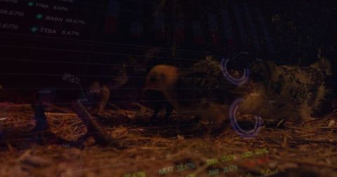 Innovative poultry farming with digital financial overlays