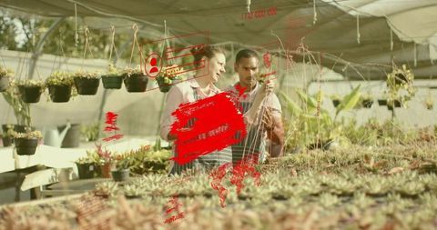 Horticulturists inspecting succulents in greenhouse with ar overlays for smart farming