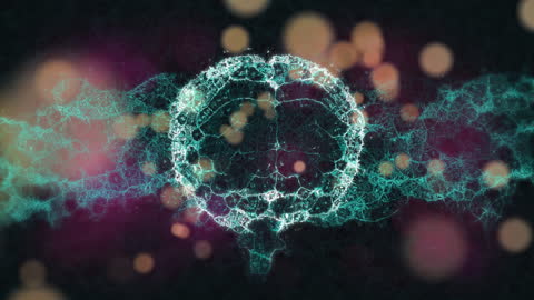 Digital Representation of Rotating Human Brain