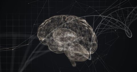 Digital Brain with DNA Structure and Network Connections - Download Free Stock Images Pikwizard.com