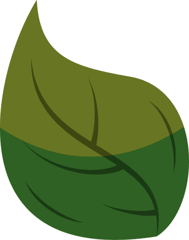 Transparent Two-Tone Green Leaf Icon for Eco-Friendly Design