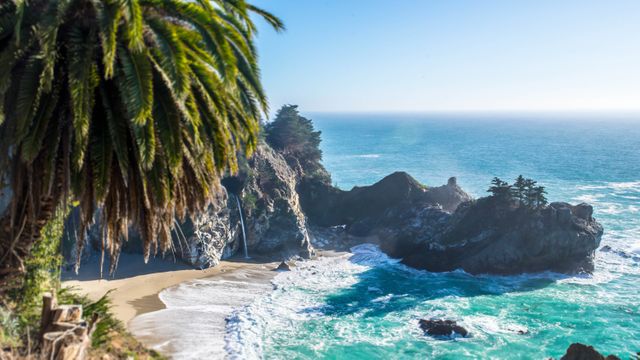Spectacular view of a palm tree overlooking a picturesque beach with clear turquoise waters and rugged cliffs in the background. Perfect for promoting travel destinations, beach vacations, nature retreats, or coastal lifestyle. Ideal for websites, blogs, brochures, and travel magazines.