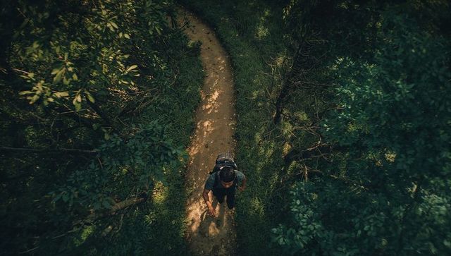 Aerial View of Solo Hiker on Forest Trail in Deep Woods