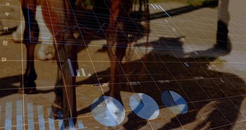 Futuristic Equine Mobility with Analytics Overlay