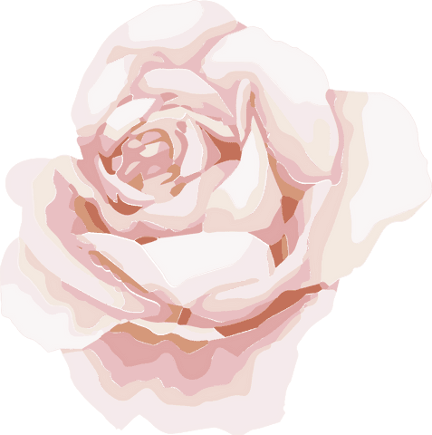 Transparent Pale Pink Rose Flat Design on Minimal Background