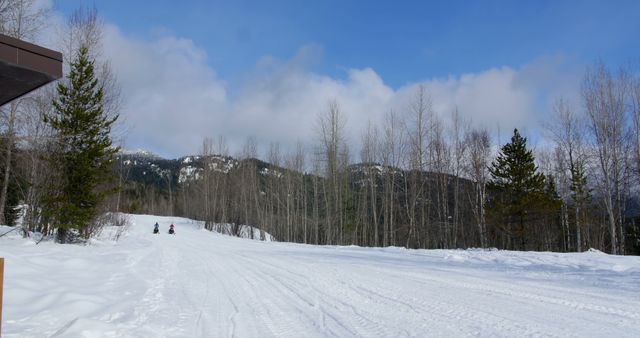 Snow-Covered road trails off into forested mountains. Includes snowmobiles in distance. Clear blue sky indicates bright, clear day. Use for winter sports, adventure tourism, nature exploration, transportation themes.