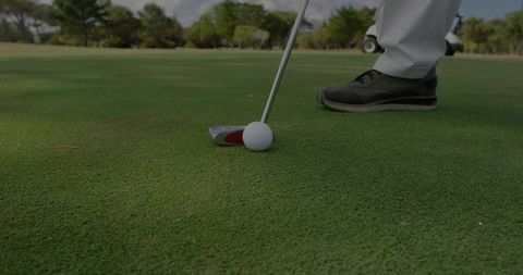 Golfer Aligning Putter Behind Golf Ball for Precise Putt on Green