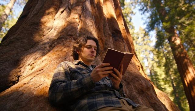 Reading man leaning against giant sequoia trunk in sunlit forest grove, contemplative outdoors
