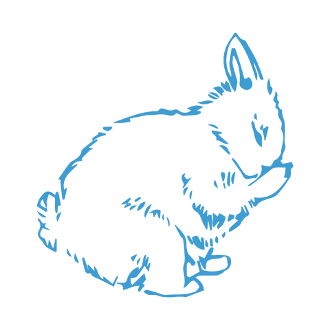 Blue Outline Bunny Illustration on Transparent Background - Download Free Stock Videos Pikwizard.com