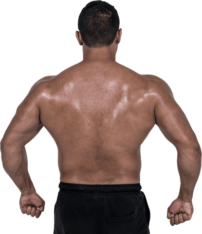 Transparent Muscular Man Back Flexing Strong Physique