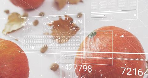 Orange pumpkin displaying augmented reality data overlay for smart farming analytics