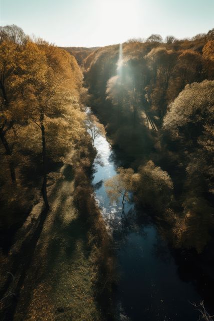 Aerial view of a forest during autumn with a river running through it. The fall foliage and sunlight create a serene, picturesque scene. Ideal for use in travel blogs, nature documentaries, seasonal promotions, background images for websites, and environmental presentations.