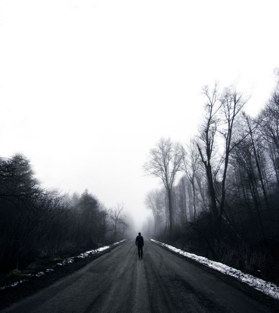 Lone figure walking on a desolate road surrounded by barren trees on a foggy winter day. Ideal for use in themes related to solitude, tranquillity, adventure, and the natural world. Can be used for travel promotions, blogs about nature or adventure, or environmental awareness campaigns.