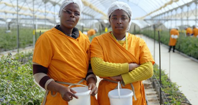 Two agricultural workers of African descent are in a greenhouse wearing orange uniforms and protective hair nets. They hold buckets presumably used for collecting produce. The photograph highlights occupational safety and the daily labor-intensive work involved in farming and horticulture. The image can be used for topics related to agriculture, farming, horticulture practices, labor rights, occupational safety, and teamwork. It is suitable for educational articles, blogs, and presentations illustrating the agricultural industry's human element.