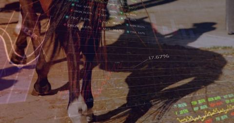 Equine elegance interlinked with financial market analysis