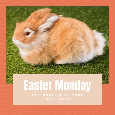 easter monday celebration with adorable rabbit on grass - Download Free Stock Templates Pikwizard.com