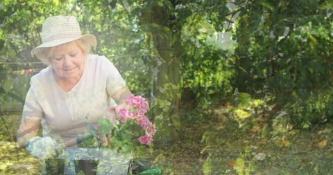 Senior Woman Gardening in Forest Setting for Community Awareness