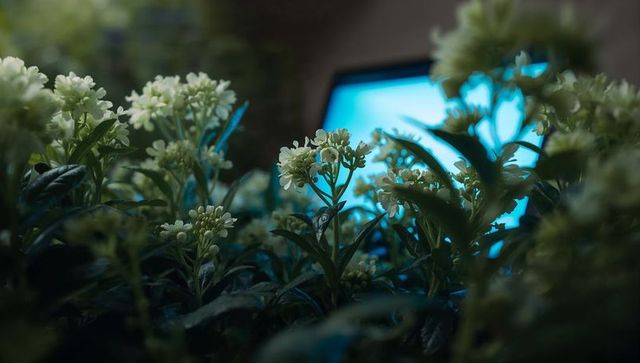 Flowers growing beside illumined technological display
