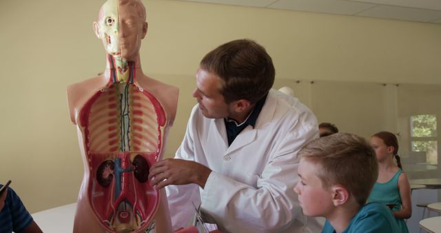 Caucasian male teacher and schoolboy studying human body model in elementary school biology class. Science, childhood, education, learning and elementary school, unaltered.