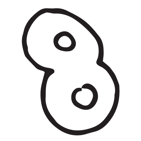 Hand-Drawn Transparent Vector Number Eight Illustration - Download Free Stock Videos Pikwizard.com