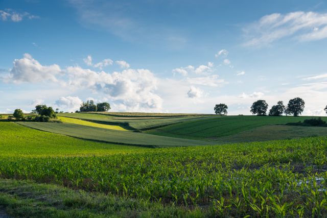 Rolling Hills with Green Fields Under Blue Sky with White Clouds - Download Free Stock Photos Pikwizard.com
