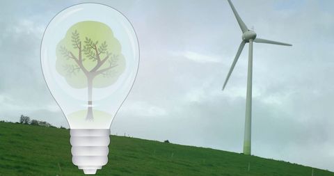 Tree in light bulb over wind turbine promoting renewable energy