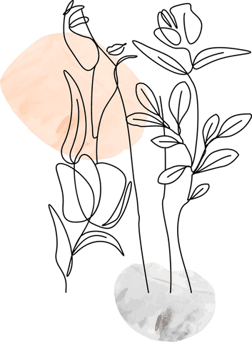 transparent minimal botanical line drawing with peach and gray - Download Free Stock Videos Pikwizard.com