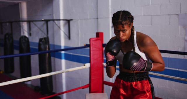 Female Boxer Training in Gym Boxing Ring - Download Free Stock Images Pikwizard.com