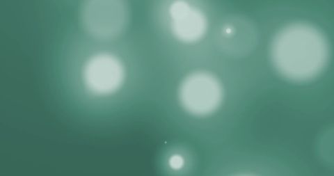 Glowing Abstract Lights on Calming Green Background
