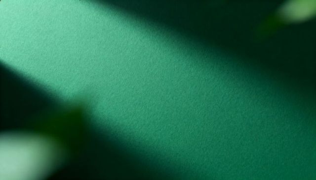 Textured green paper casting diagonal shadow with blurred leaves minimalist background