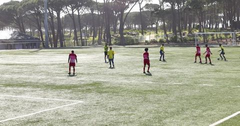 Youth soccer players competing on sunny outdoor field