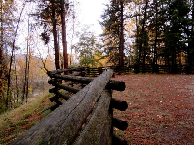 Image shows a wooden fence running through a forest during autumn. Perfect for conveying themes of peace, tranquility, and natural beauty. Can be used in travel blogs, nature magazines, and relaxation advertisements.