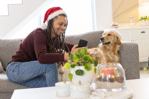 Dreadlocked man wearing santa hat sharing cozy holiday moment with golden retriever on sofa