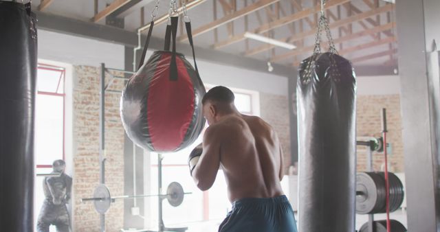 Image of back view of fit african american man boxing at gym. active, fit, sporty and healthy lifestyle, exercising at gym concept.