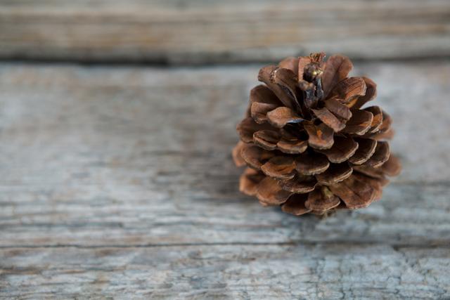 Close-up of a single pine cone resting on a weathered wooden plank. Ideal for use in holiday-themed designs, nature-related projects, or rustic decor inspiration. Perfect for Christmas cards, seasonal advertisements, and natural decor ideas.