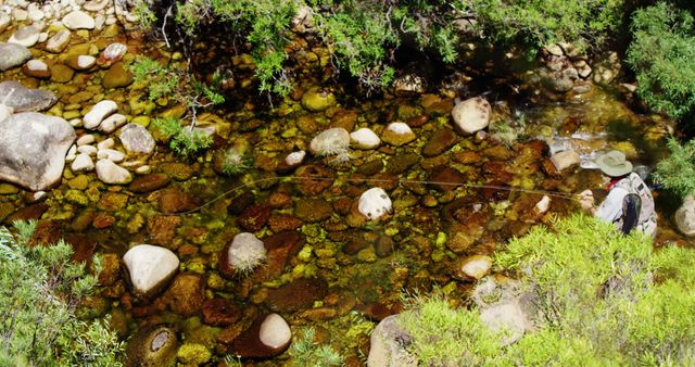 Fisherman standing in shallow rocky creek surrounded by trees - Download Free Stock Images Pikwizard.com