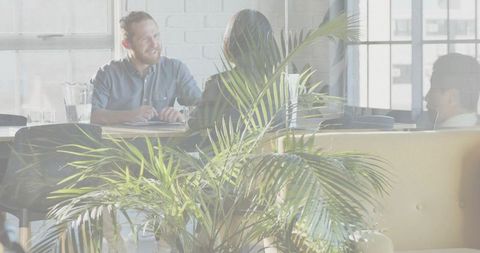 Sunlit coworking team collaborating over documents in modern office with indoor plants