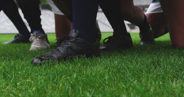 Rugby Players in Scrum Formation on Grass Field - Download Free Stock Images Pikwizard.com