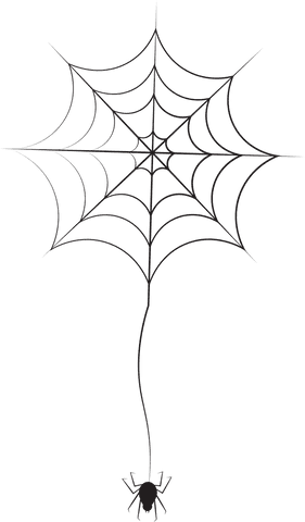 black spider silhouette hanging from web transparent background - Download Free Stock Videos Pikwizard.com